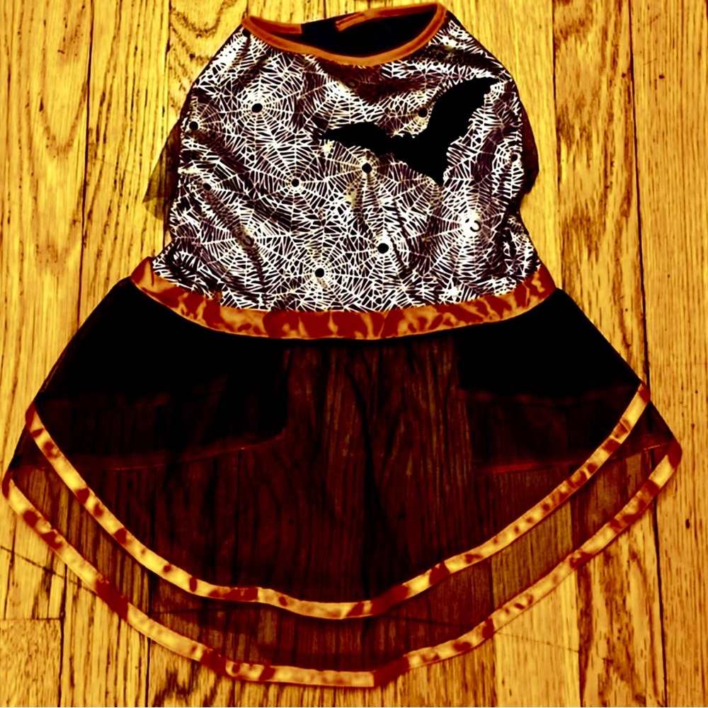 Martha Stewart Dog Halloween Witch Costume - Size Large